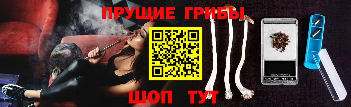 Псилоцибиновые грибы GOLDEN TEACHER Богданович